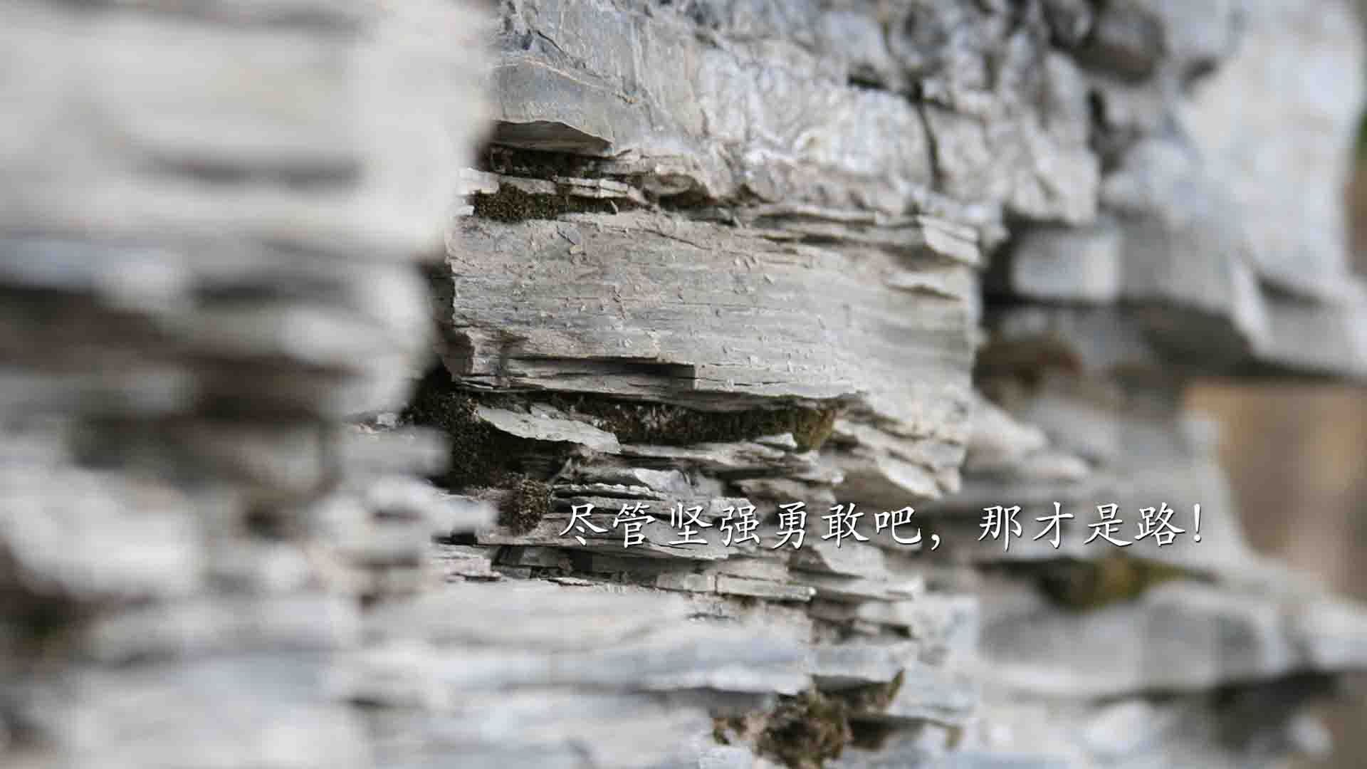 “中超联赛激战正酣,豪门争冠形势白热化”,中超中超