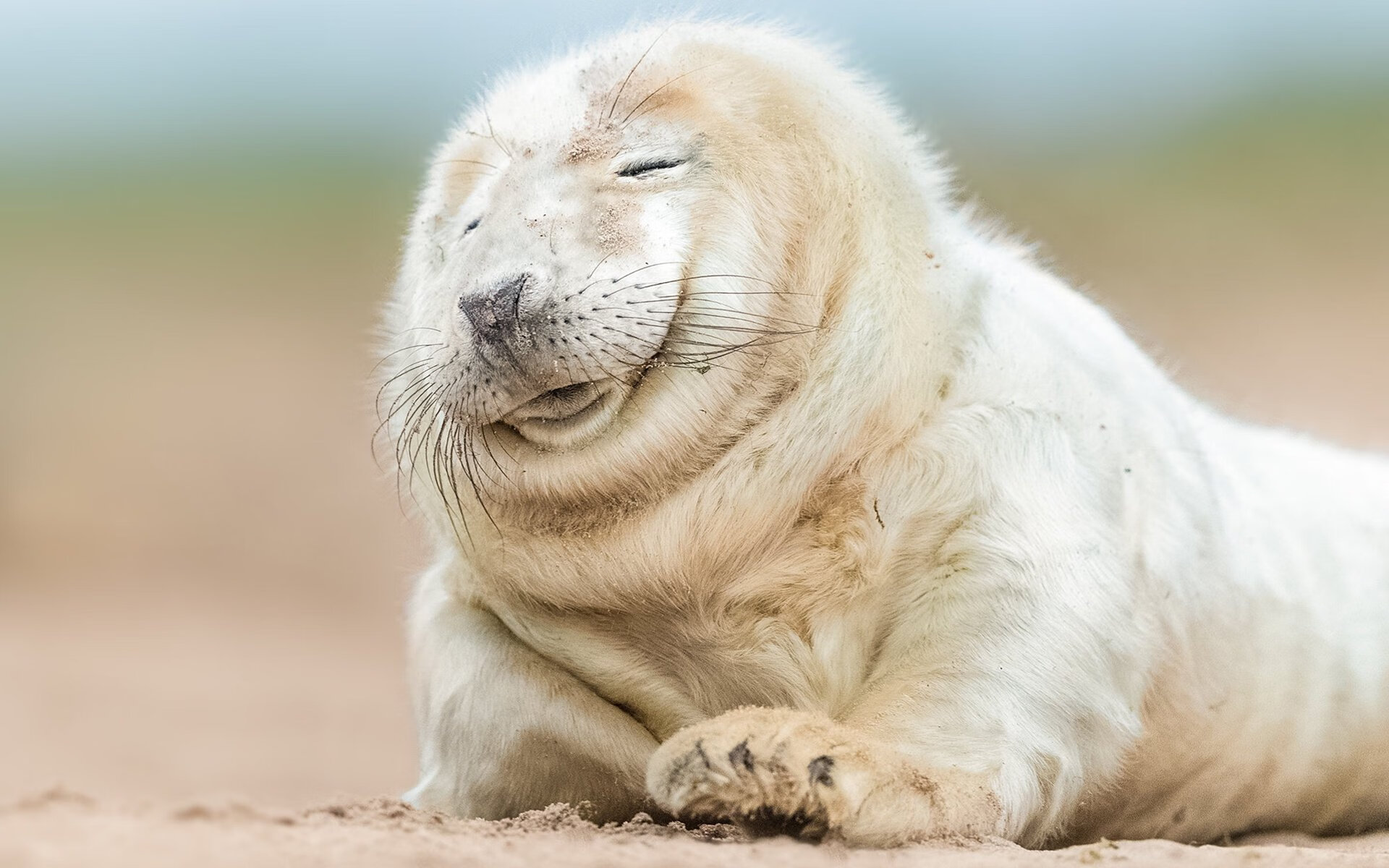 德甲转会热潮:多支球队大幅补强年轻力量,德甲2021年夏季各队转会汇总