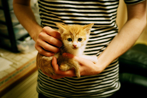 九游娱乐app下载-“校园足球新政策落实，青少年参与热情高涨”，校园足球新规