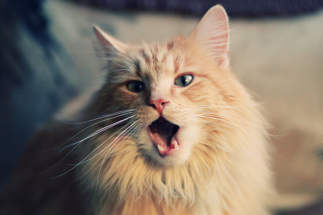 九游(jiuyou)官方网站-《【未来科技】虚拟现实将如何改变电竞体验？专家深入分析》，未来虚拟现实科技是什么样的